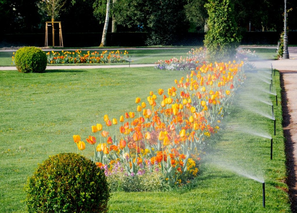 Irrigation for Home Lawn