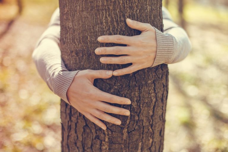 Close-up of hands hugging a tree
