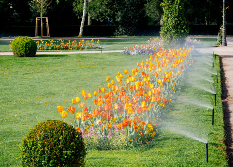 a lawn with flowers and sprinklers
