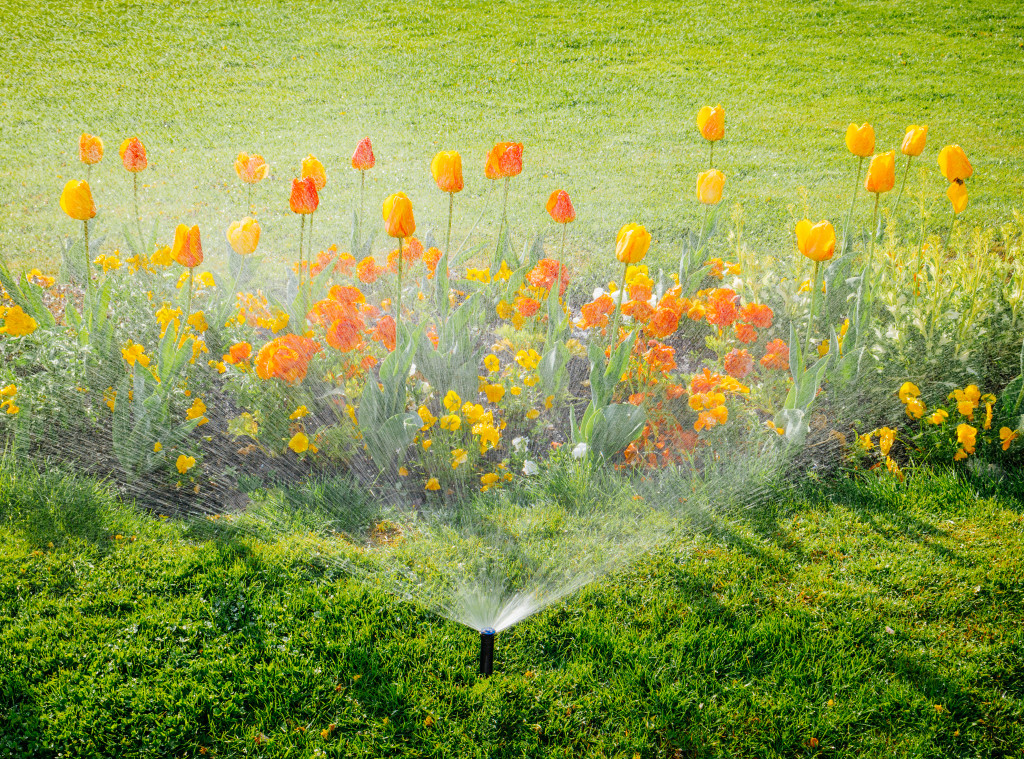 A sprinkler in a garden