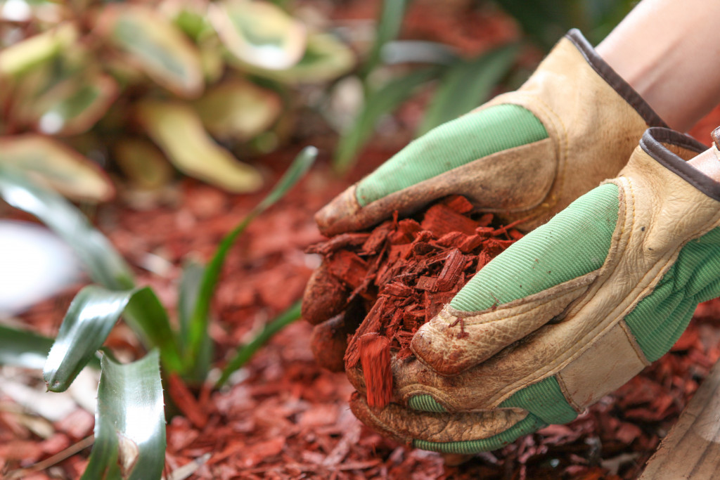 A gardener's hand holding mulch