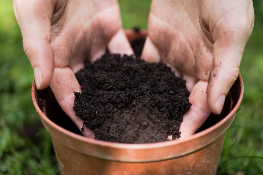 potting-soil-potting-soil-in-pot-dirt-in-pot