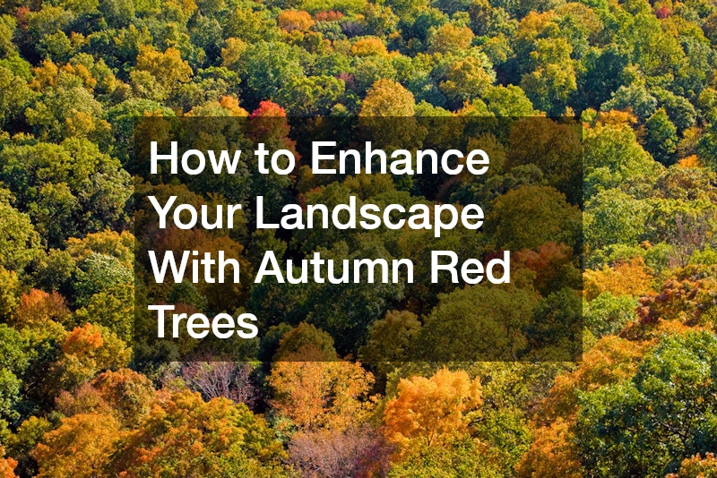 How to Enhance Your Landscape With Autumn Red Trees